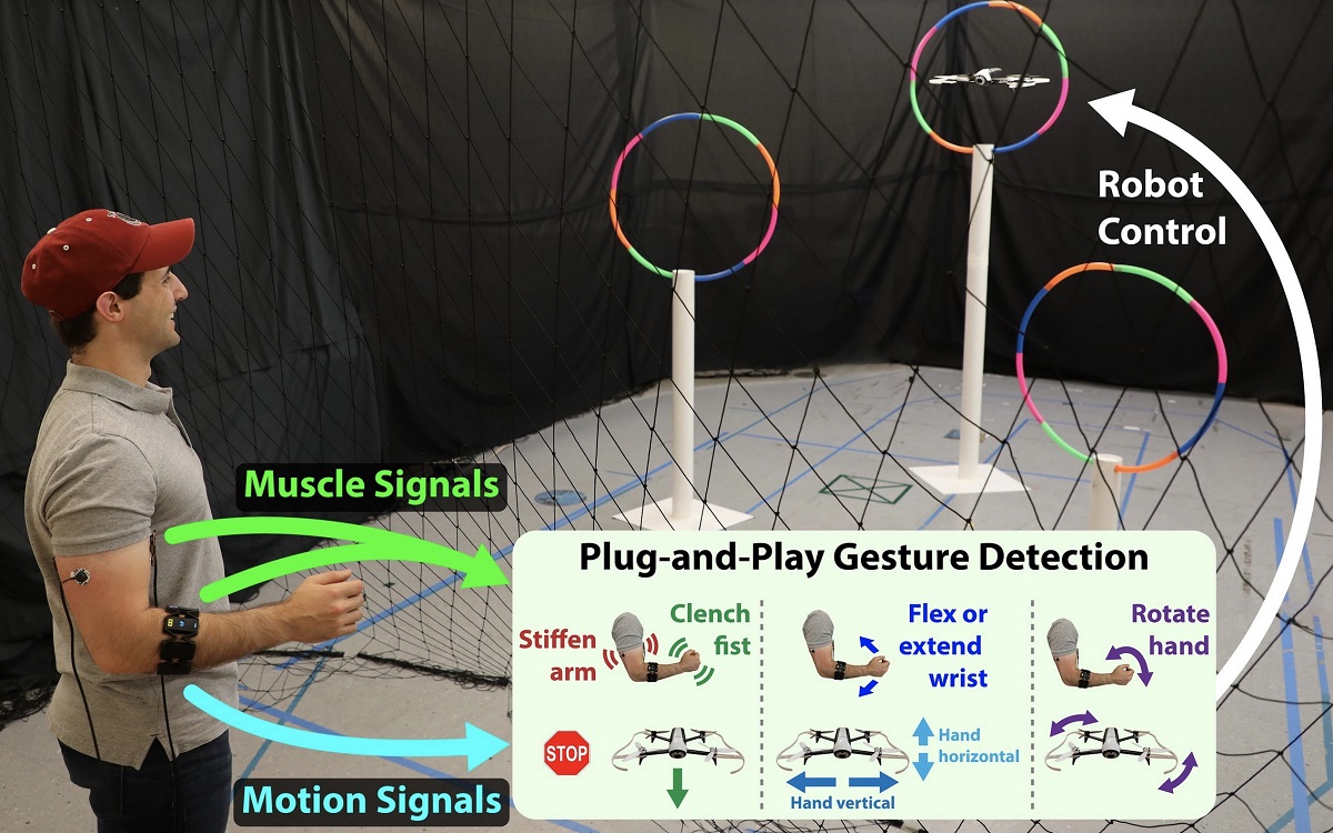 MIT's 'Conduct-A-Bot' uses human muscle signals to pilot a robot's ...