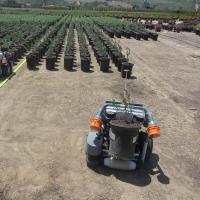 Each HV-100 potted plant-sorting robots from Harvest Automation can pay for itself in two years, the company says. Photo: Harvest Automation