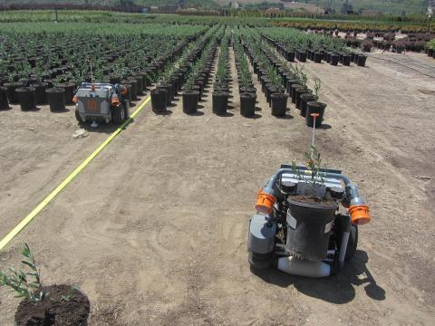 Each HV-100 potted plant-sorting robots from Harvest Automation can pay for itself in two years, the company says. Photo: Harvest Automation
