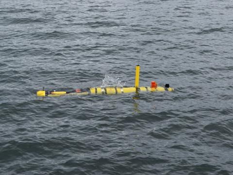 The Hydroid REMUS 600 UUV during ANTX 2017, photo courtesy of Hydroid Inc.